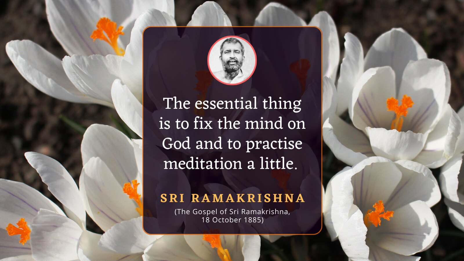 Daily Quote
